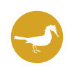 SPROOKJES ENZO WEB Logo oker onder nieuw