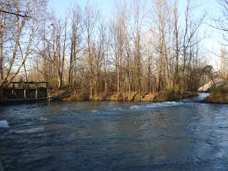DSC00207