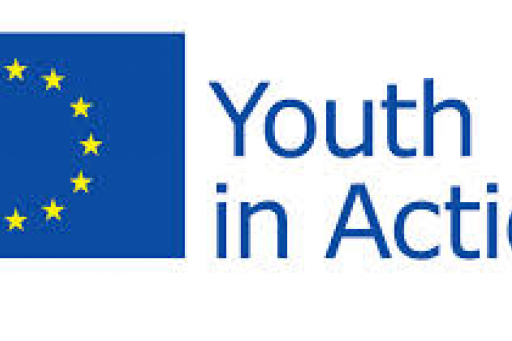 youthinaction_logo