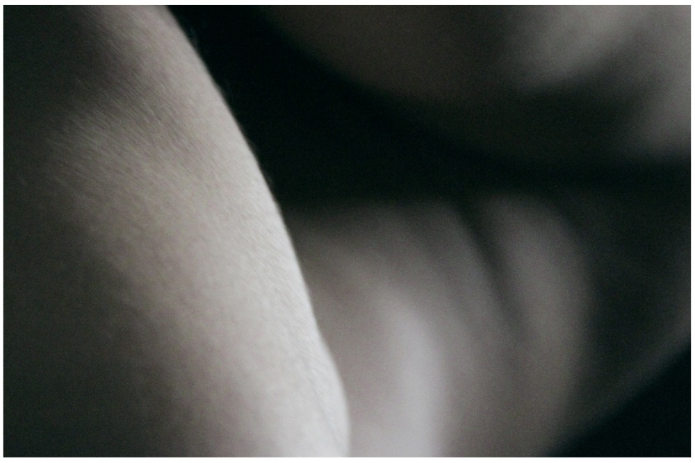 Formes changed into new bodies2