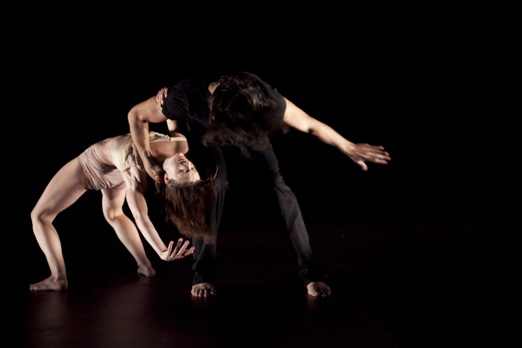 Complexe des genres -Compagnie Virginie Brunelle 2