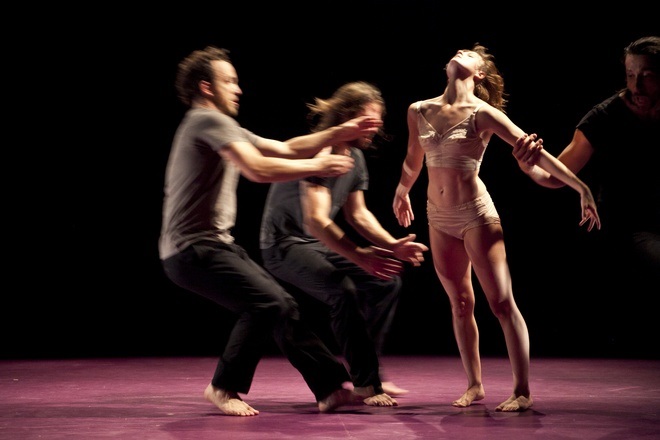 Complexe des genres -Compagnie Virginie Brunelle 4