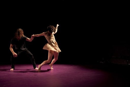 Complexe des genres - Compagnie Virginie Brunelle 2
