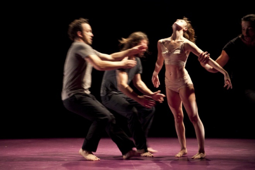Complexe des genres -Compagnie Virginie Brunelle 4