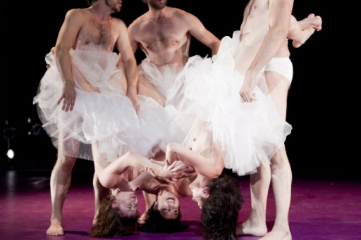 Complexe des genres - Compagnie Virginie Brunelle Mathieu Doyon 2