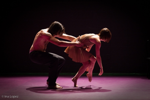 Complexe des genres - Compagnie Virginie Brunelle